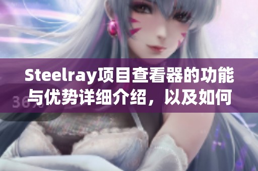 Steelray项目查看器的功能与优势详细介绍，以及如何高效使用这个工具的指南