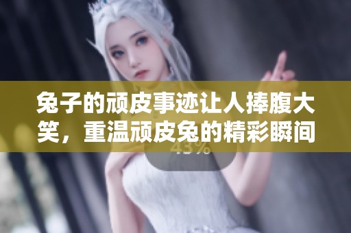兔子的顽皮事迹让人捧腹大笑，重温顽皮兔的精彩瞬间