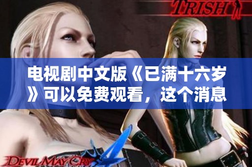 电视剧中文版《已满十六岁》可以免费观看，这个消息让人倍感期待！