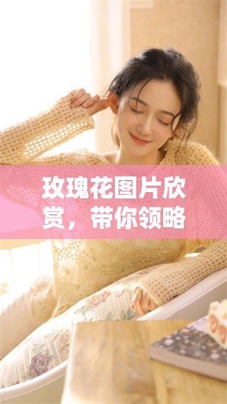 玫瑰花图片欣赏，带你领略美丽的花海风采