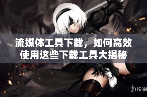 流媒体工具下载，如何高效使用这些下载工具大揭秘