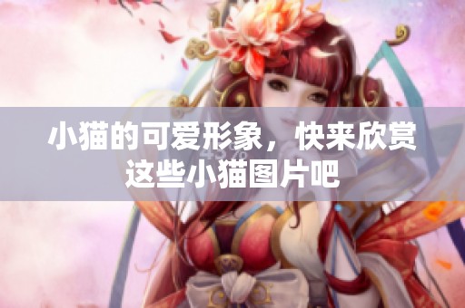 小猫的可爱形象，快来欣赏这些小猫图片吧