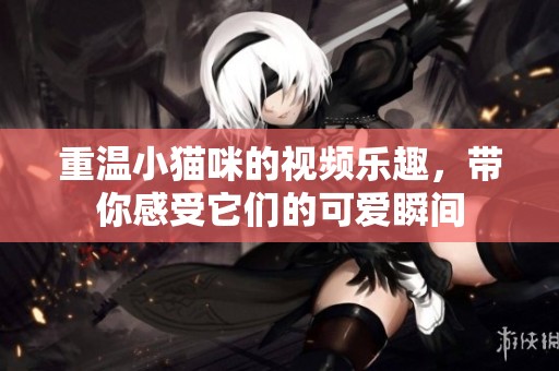 重温小猫咪的视频乐趣，带你感受它们的可爱瞬间
