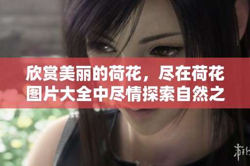 欣赏美丽的荷花，尽在荷花图片大全中尽情探索自然之美