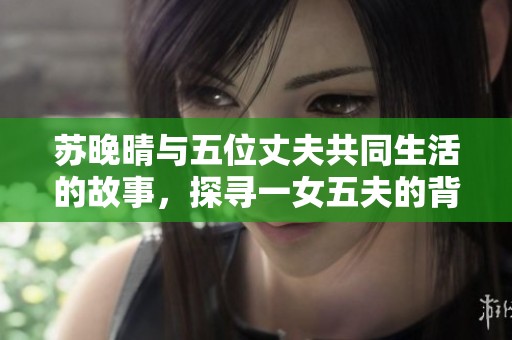 苏晚晴与五位丈夫共同生活的故事，探寻一女五夫的背后秘密。
