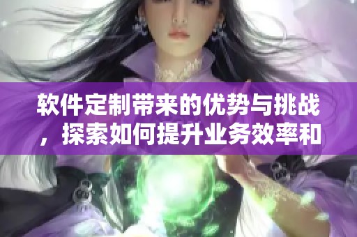 软件定制带来的优势与挑战，探索如何提升业务效率和客户体验