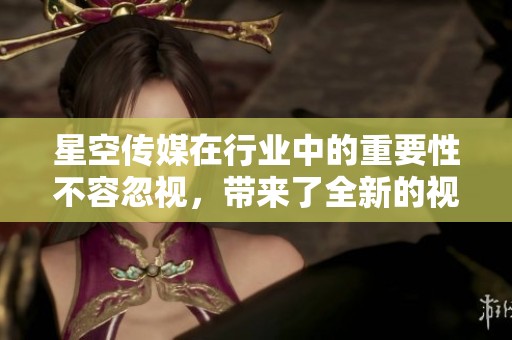 星空传媒在行业中的重要性不容忽视，带来了全新的视角与机遇