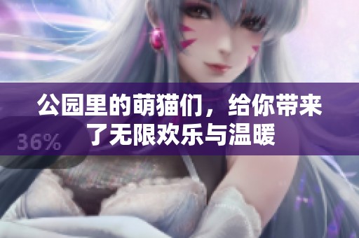 公园里的萌猫们，给你带来了无限欢乐与温暖