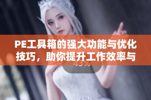 PE工具箱的强大功能与优化技巧，助你提升工作效率与效果