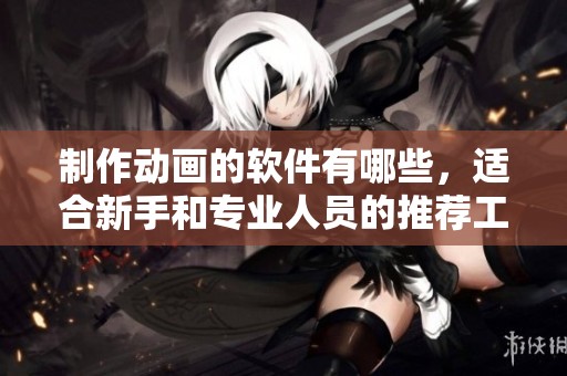 制作动画的软件有哪些，适合新手和专业人员的推荐工具？