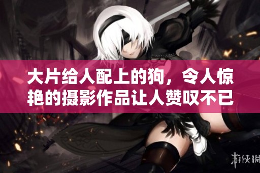 大片给人配上的狗，令人惊艳的摄影作品让人赞叹不已
