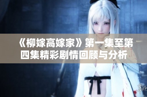 《柳嫁高嫁家》第一集至第四集精彩剧情回顾与分析