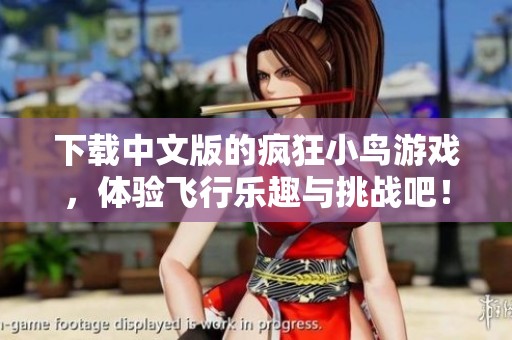 下载中文版的疯狂小鸟游戏，体验飞行乐趣与挑战吧！