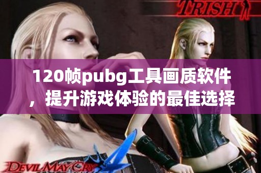120帧pubg工具画质软件，提升游戏体验的最佳选择是什么