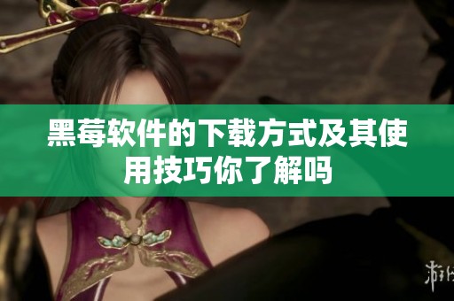 黑莓软件的下载方式及其使用技巧你了解吗