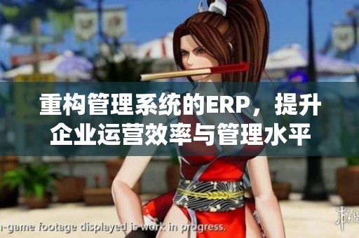 重构管理系统的ERP，提升企业运营效率与管理水平