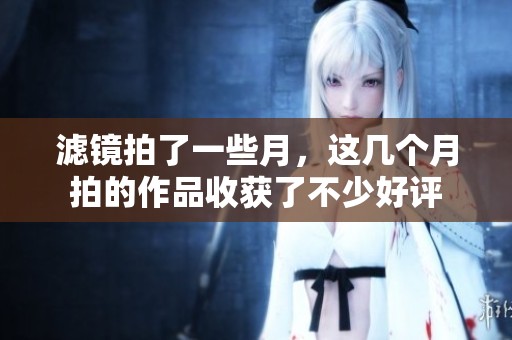 滤镜拍了一些月，这几个月拍的作品收获了不少好评