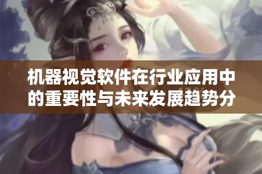 机器视觉软件在行业应用中的重要性与未来发展趋势分析