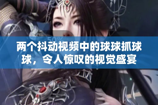 两个抖动视频中的球球抓球球，令人惊叹的视觉盛宴