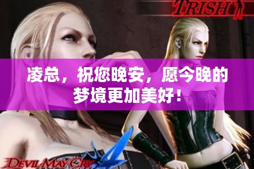 凌总，祝您晚安，愿今晚的梦境更加美好！
