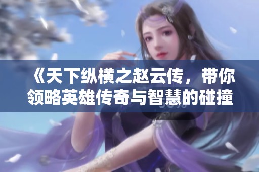 《天下纵横之赵云传，带你领略英雄传奇与智慧的碰撞》