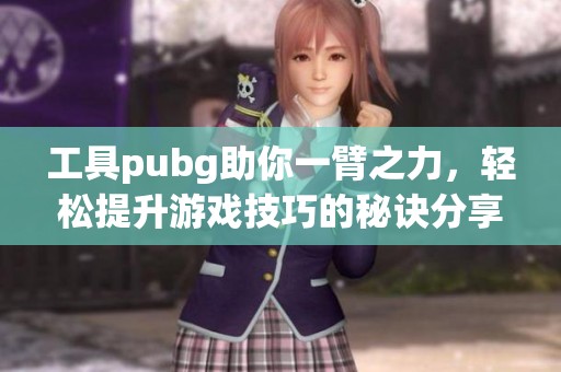 工具pubg助你一臂之力，轻松提升游戏技巧的秘诀分享