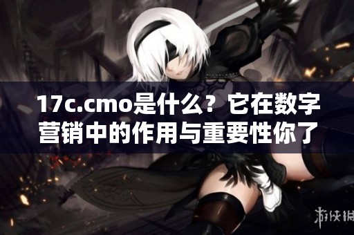 17c.cmo是什么？它在数字营销中的作用与重要性你了解吗