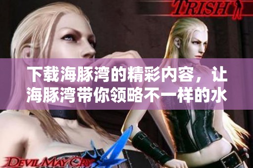 下载海豚湾的精彩内容，让海豚湾带你领略不一样的水下世界