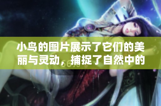 小鸟的图片展示了它们的美丽与灵动，捕捉了自然中的精彩瞬间。