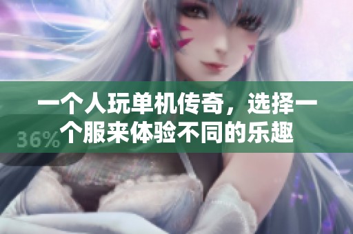 一个人玩单机传奇，选择一个服来体验不同的乐趣