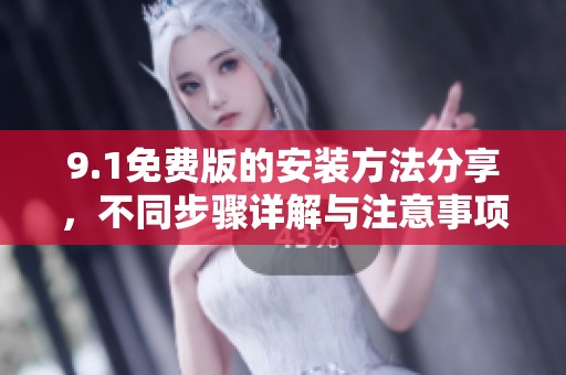 9.1免费版的安装方法分享，不同步骤详解与注意事项请查看以下内容