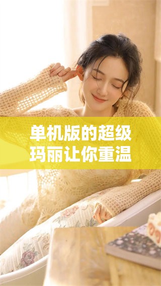 单机版的超级玛丽让你重温经典游戏乐趣，这款游戏一定会让你沉浸其中