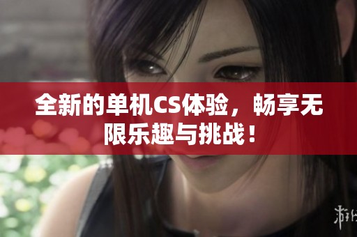 全新的单机CS体验，畅享无限乐趣与挑战！