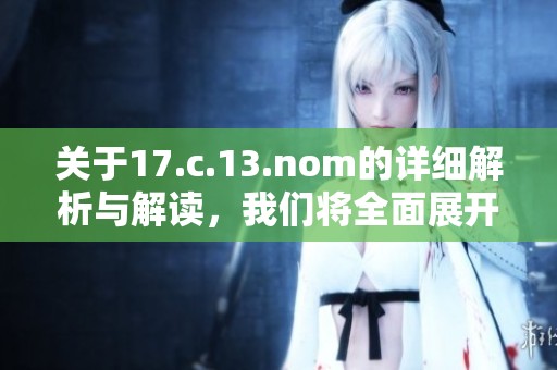 关于17.c.13.nom的详细解析与解读，我们将全面展开讨论并分享看法。
