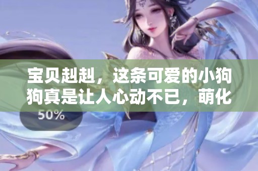 宝贝赳赳，这条可爱的小狗狗真是让人心动不已，萌化了所有人的心。