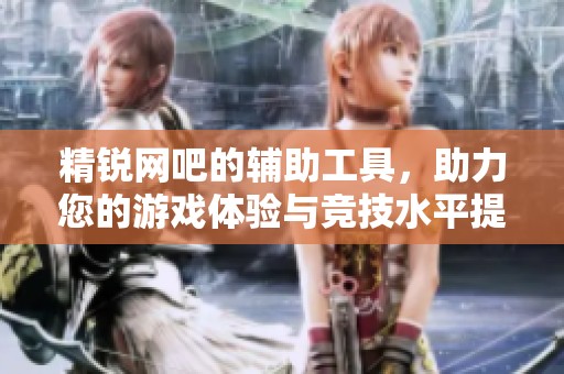 精锐网吧的辅助工具，助力您的游戏体验与竞技水平提升